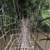 015 MIMONGO Pont de Liane 12E5K2IMG_74435wtmk.jpg