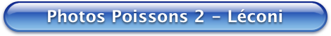Bouton Bleu Photos Poissons 2 - Leconi 470x52