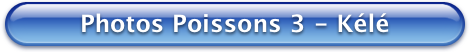 Bouton Bleu Photos Poissons 3 - Kele 470x52