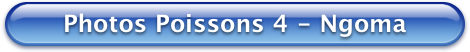 Bouton Bleu Photos Poissons 4 - Ngoma 470x52