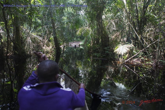 046 BITOUGA Passage en Foret Inondee 14E5K3IMG_97765wtmk.jpg