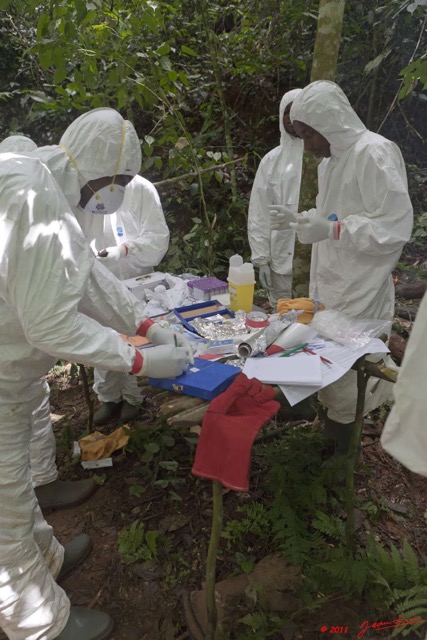 086 Mission 1 Grotte de Zadie Prelevement Sang sur Lames 11E5K2IMG_70011wtmk.jpg