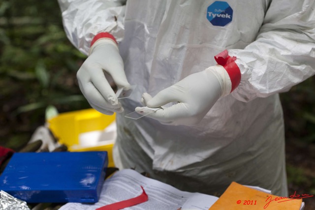 100 Mission 1 Grotte de Zadie Prelevement sur Lame 11E5K2IMG_70043wtmk.jpg