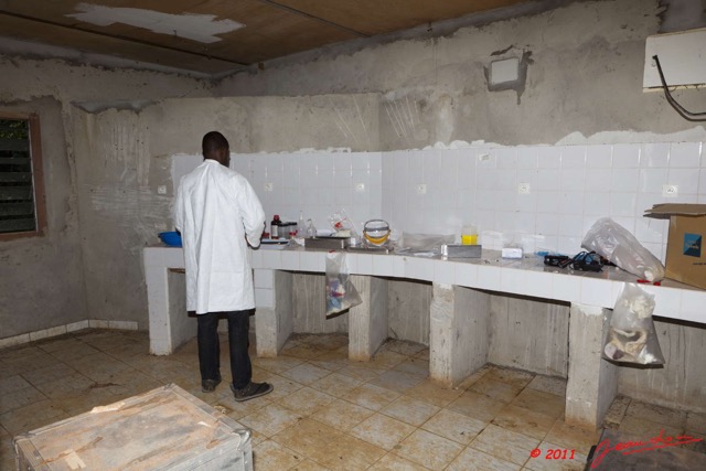 110 Mission 1 Belinga Campement Laboratoire Rongeurs 11E5K2IMG_70152wtmk.jpg