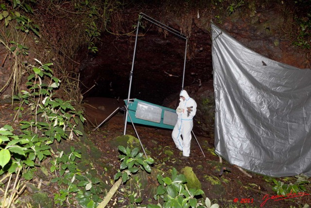 142 Mission 1 Grotte du Faucon Capture Chauve-Souris 11E5K2IMG_70333wtmk.jpg