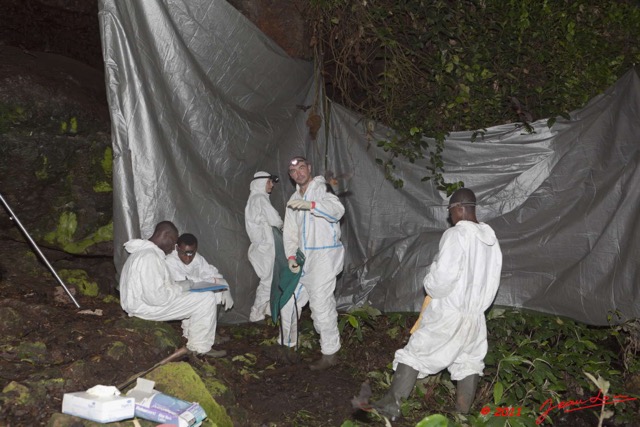 161 Mission 1 Grotte du Faucon Remise en Liberte Chauve-Souris 11E5K2IMG_70385wtmk.jpg