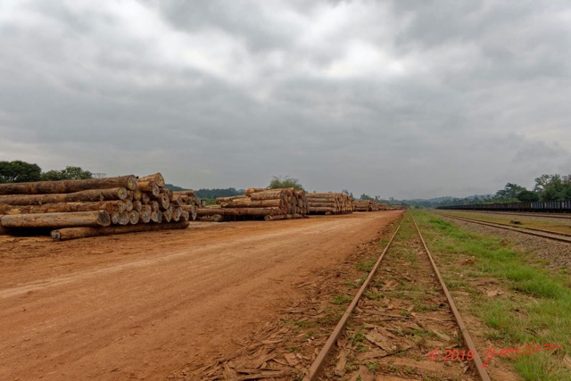 076 ENTOMO 02 Ivindo la Ville le Parc a Bois 19RX106DSC_1908201001592_DxOwtmk 150k.jpg