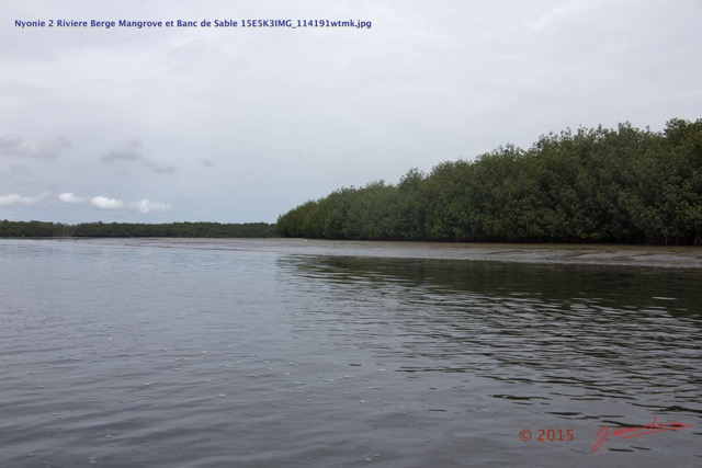 031 Nyonie 2 Riviere Berge Mangrove et Banc de Sable 15E5K3IMG_114191wtmk.JPG