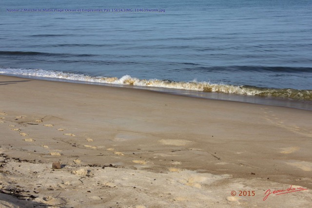 166 Nyonie 2 Marche le Matin Plage Ocean et Empreintes Pas 15E5K3IMG_114639wtmk.JPG