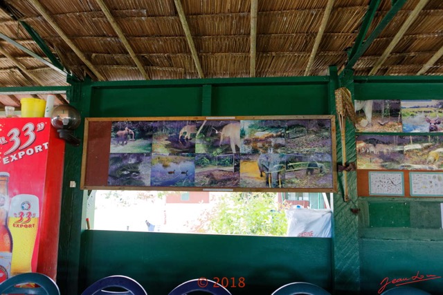 044 NYONIE 3 le Campement le Restaurant Photos Cameras-Pieges 18E5K3IMG_180224126454_DxOwtmk.jpg