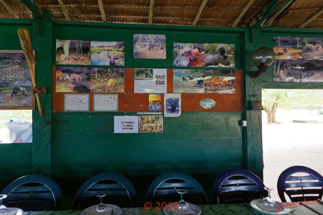 045 NYONIE 3 le Campement le Restaurant Photos Cameras-Pieges 18E5K3IMG_180224126455_DxOwtmk.jpg