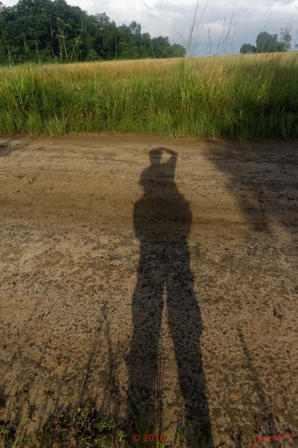 142 NYONIE 3 la Marche en Foret Ombre Prenant des Photos 18E5K3IMG_180224126751_DxOwtmk.jpg