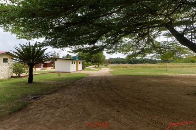 149 NYONIE 3 le Campement Arbre et les Bungalows 18E5K3IMG_180224126769_DxOwtmk.jpg