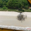 051 AWAGNE 1 ULM Survol Plage avec Arbre Mort 19E5M3IMG_190421150137_DxOwtmk 150k.jpg