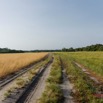 134 AWAGNE 1 Piste vers le Marecage 19E5M3IMG_190422150616_DxOwtmk 150k.jpg